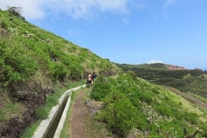 Promenade à Madère avec dégustation de poncha