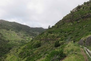 Promenade à Madère avec dégustation de poncha