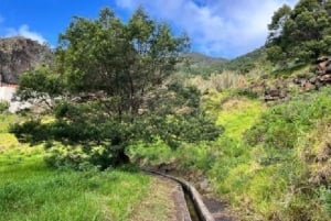 Promenade à Madère avec dégustation de poncha