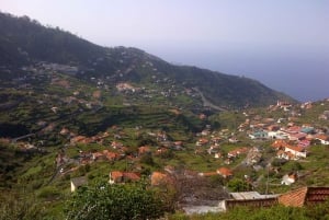 Madeira: Levado do Norte 2-Hour Hiking Tour