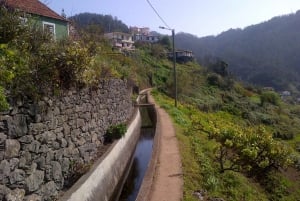 Madeira: Levado do Norte 2-Hour Hiking Tour