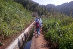 Madeira: Levado do Norte 2-Hour Hiking Tour