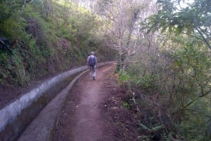 Madeira: Levado do Norte 2-Hour Hiking Tour