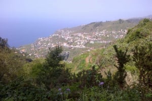 Madeira: Levado do Norte 2-Hour Hiking Tour