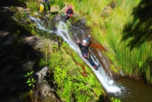 Madeira: Level-1 Canyoning Adventure