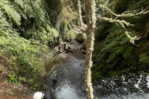 Beginner Canyoning Madeira