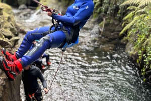 Madeira: Halvdagsäventyr i canyoning, nivå 1