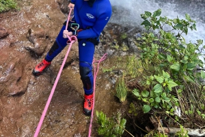 Madeira: Halvdagsäventyr i canyoning, nivå 1
