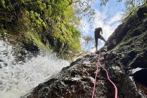 Madeira: Level 1 Canyoning Half Day Adventure