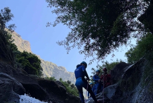 Madeira Canyoning Level 2