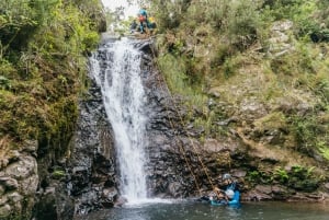 Funchal: Half-Day Beginner-Friendly Canyoning Experience