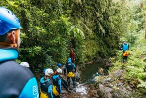 Funchal: Half-Day Beginner-Friendly Canyoning Experience