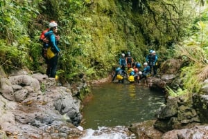 Funchal: Half-Day Beginner-Friendly Canyoning Experience