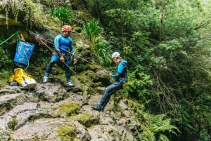 Funchal: Half-Day Beginner-Friendly Canyoning Experience