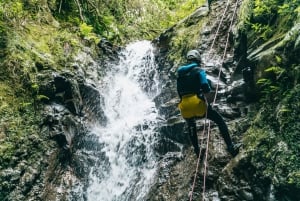 Funchal: Half-Day Beginner-Friendly Canyoning Experience