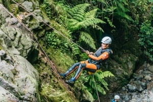 Funchal: Half-Day Beginner-Friendly Canyoning Experience