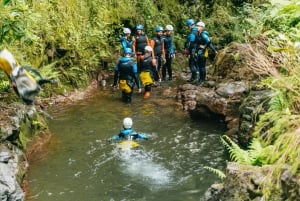 Funchal: Half-Day Beginner-Friendly Canyoning Experience