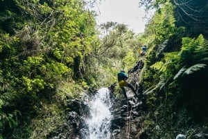 Funchal: Half-Day Beginner-Friendly Canyoning Experience