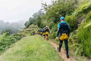 Funchal: Half-Day Beginner-Friendly Canyoning Experience