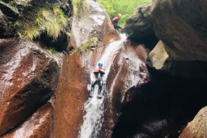 Madeira: 'Lokoloko' Canyoning Level 2