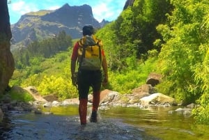 Madeira: 'Lokoloko' Canyoning Level 2