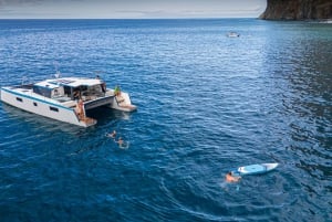 Madeira: Luxuriöse 4-stündige Kreuzfahrt auf einem privaten Katamaran