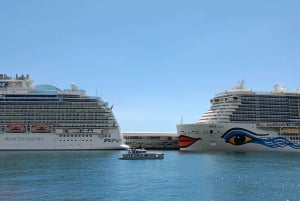 Madeira: Luxuriöse 4-stündige Kreuzfahrt auf einem privaten Katamaran