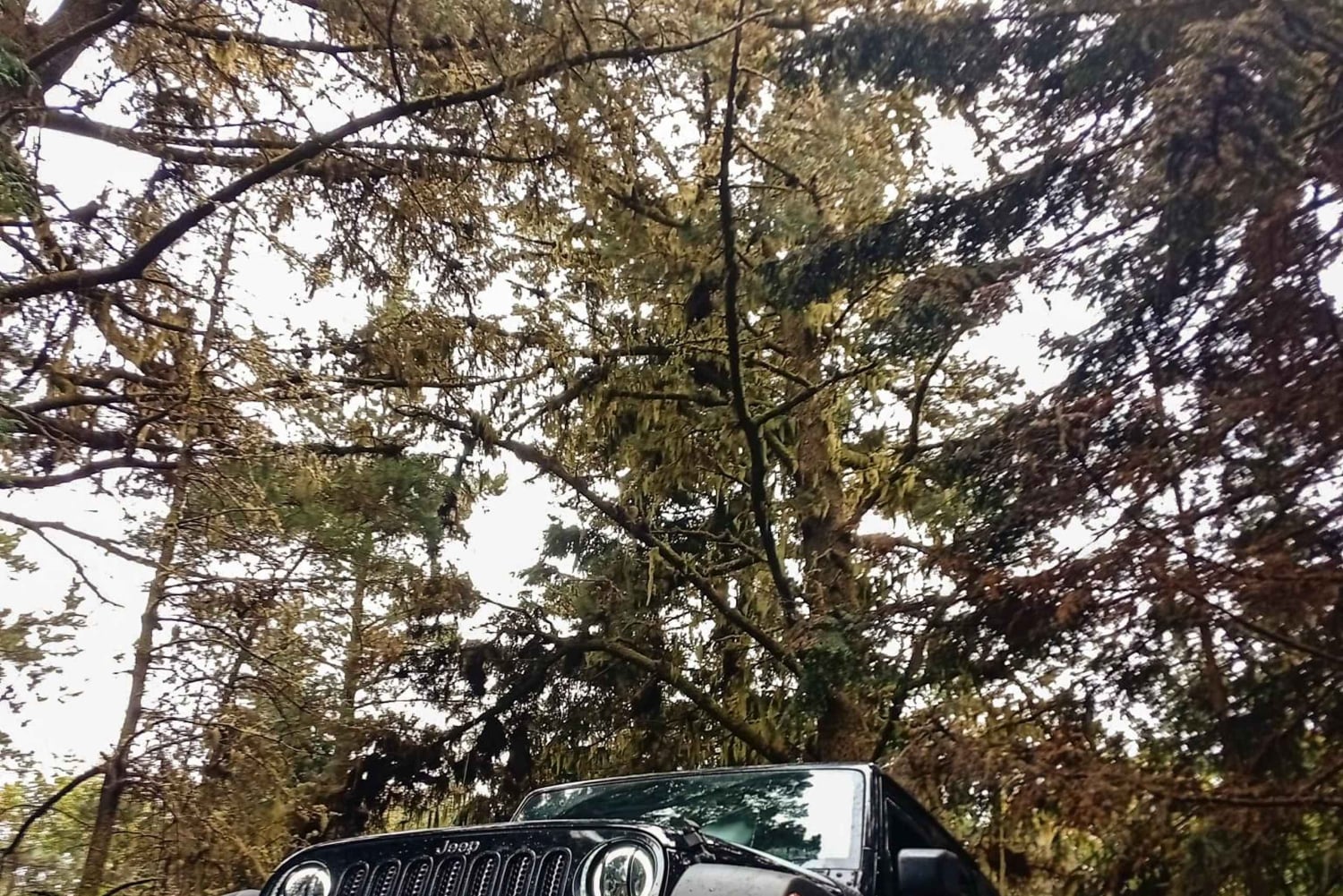 Мадейра: роскошные джип-туры