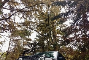 Madère : excursions de luxe en Jeep