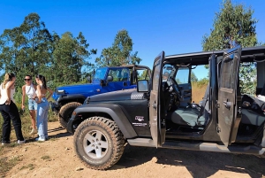 Madère : excursions de luxe en Jeep