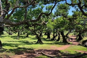 Мадейра: роскошные джип-туры