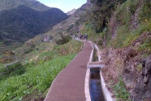 Madeira: Maroços Landscapes 2.5-Hour Guided Walk