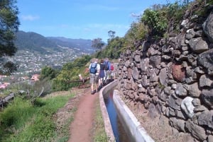 Madeira: Maroços Landscapes 2.5-Hour Guided Walk