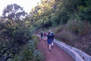 Madeira: Maroços Landscapes 2.5-Hour Guided Walk