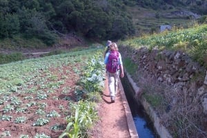 Madeira: Maroços Landscapes 2.5-Hour Guided Walk