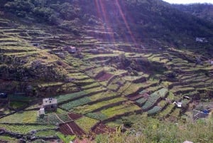 Madeira: Maroços Landscapes 2.5-Hour Guided Walk