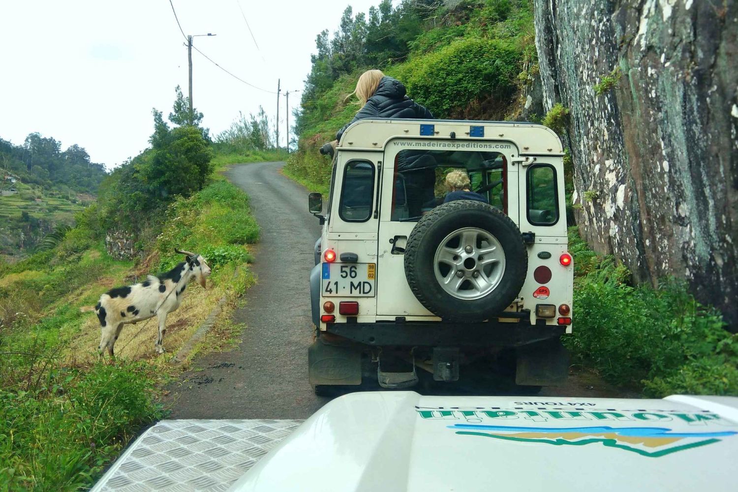 Мадейра: Мини-комбо East Challenge: Джип-сафари + Левада