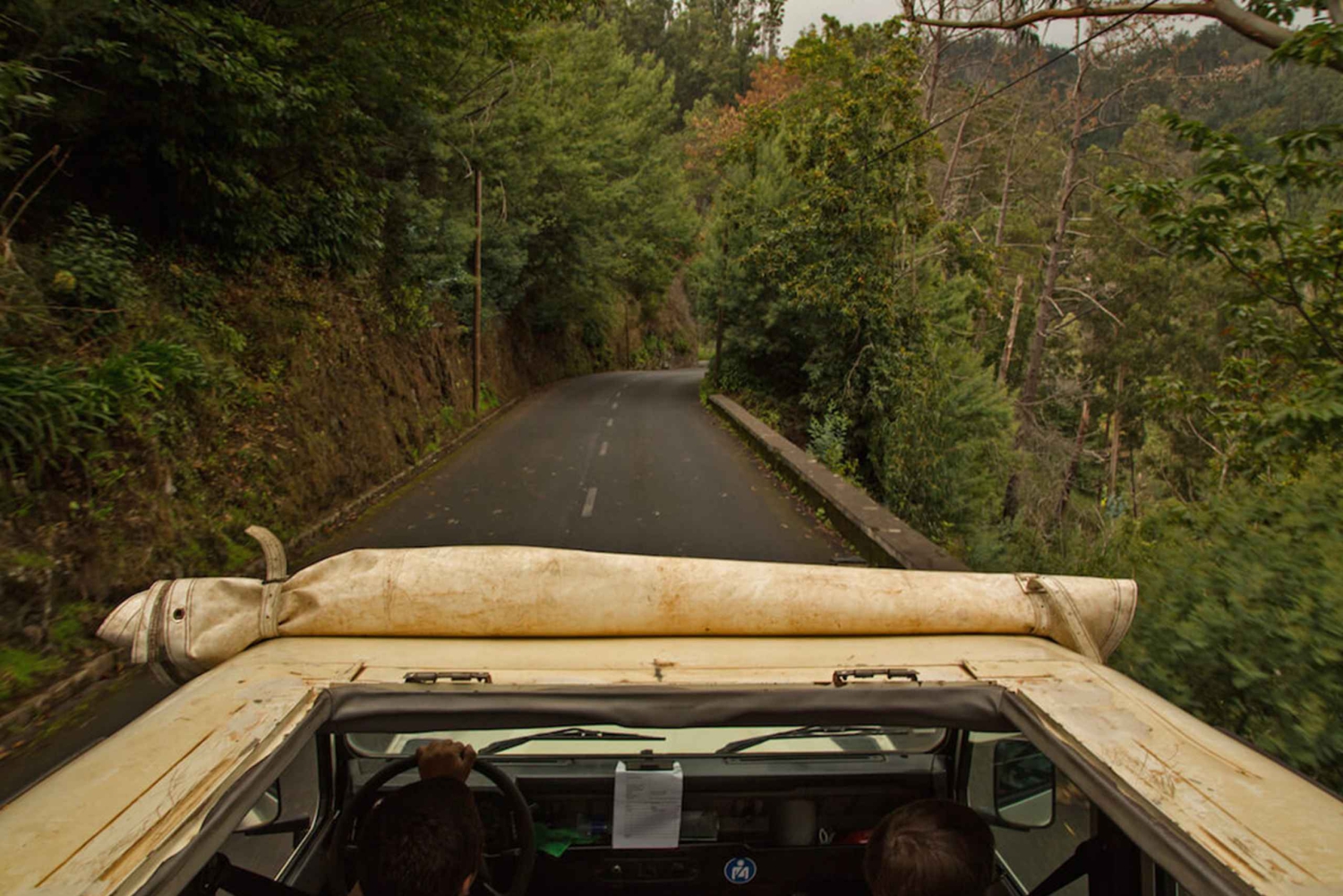 Мадейра: Мини-комбо East Challenge: Джип-сафари + Левада