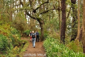 Madeira: Mini-Combo East Challenge: Jeep Safari + Levada