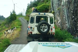 Madeira: Mini-Combo East Challenge: Jeep Safari + Levada