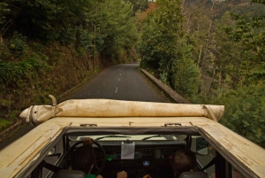 Madeira: Mini-Combo East Challenge: Jeep Safari + Levada