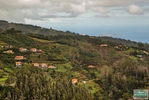 Madeira: Mini-Combo East Challenge: Jeep Safari + Levada