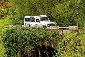 Madeira: Mini-Combo East Challenge: Jeep Safari + Levada