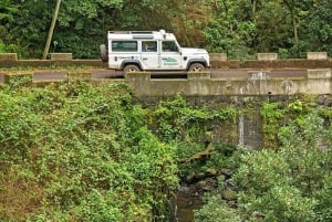 Madeira: Mini-Combo East Challenge: Jeep Safari + Levada