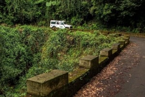 Madeira: Mini-Combo East Challenge: Jeep Safari + Levada