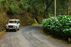 Madeira: Mini-Combo East Challenge: Jeep Safari + Levada