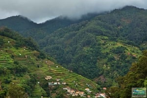 Madeira: Mini-Combo East Challenge: Jeep Safari + Levada