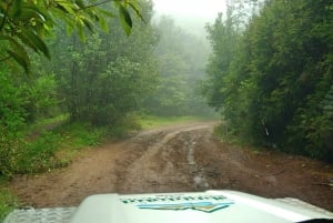 Madeira: Mini-Combo East Challenge: Jeep Safari + Levada