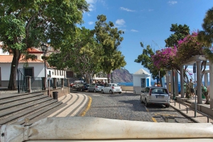 Мадейра: Мини-комбо East Challenge: Джип-сафари + Левада