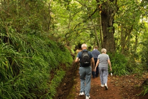 Мадейра: Мини-комбо East Challenge: Джип-сафари + Левада